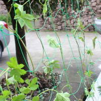 黃瓜攀爬植物爬藤網加強版家用園藝網 尼龍園藝用品爬藤網2個