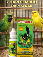 NANJUNG POWER - OBAT ANTI SERAK BURUNG - VITAMIN ANTI SERAK BURUNG - OBAT BURUNG SERAK SUARA - VITAM