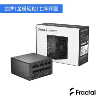 Fractal Design Ion Gold 650W 電源供應器-金牌