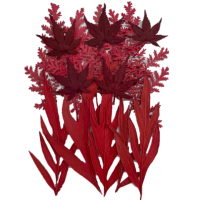 【A-ONE 匯旺】紅葉花包 壓花書籤 乾燥壓花押花 壓花材料 壓花DIY 樹葉書籤 永生花材
