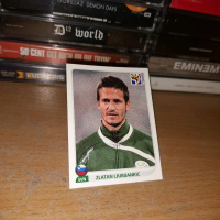 Stiker Panini World Cup 2010 (Pilih seri pemain)