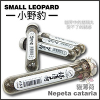 『寵喵樂旗艦店』Small Leopard小野豹 貓薄荷45ML
