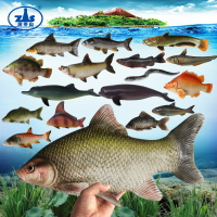 仿真鯽魚草魚鰱魚模型淡水魚鰣魚黃骨魚鱖魚擺件餐廳魚類裝飾道具