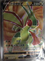【CardMaster】寶可夢紙牌 中文版 PTCG 星星誕生 沙漠蜻蜓V_S9_SR 110/100