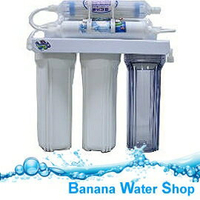 【Banana Water Shop】特價再享免運費送到家 檯下型 六道式簡易型過濾器
