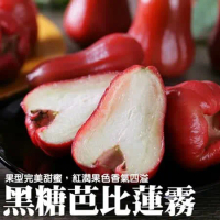 【果之蔬】台灣LV級黑糖芭比蓮霧中果(11-13入_約3斤/箱)