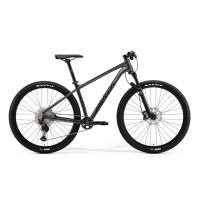 【MERIDA 美利達】BIG NINE XT-EDITION 單盤 29吋輪徑單避震登山車(無附腳架/大9/越野/自行車)