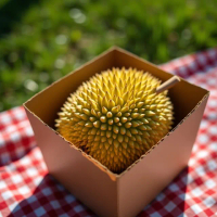 【果樹寶石】越南干堯榴槤單顆x1箱（2kg±10%）(來自湄公河的黃金果王 榴槤控必嚐的經典之選)