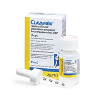 CLAVAMOX Drops 15 ML 62.5 MG Oral Suspension Antibiotik Anjing Kucing Hewan Zoetis