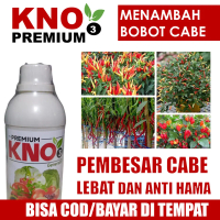 KNO3 PREMIUM 500 ML - Pupuk Lebat Buah CABE / CABAI Hijau, Cabe Rawit, Cabe Keriting dll tanpa Ronto