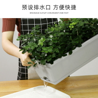 長方形花盆種菜家庭陽臺塑料長條型加厚耐用盆栽花槽清倉。