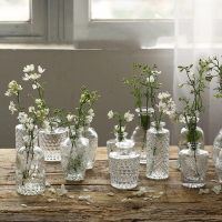 【JEN】北歐復古創意浮雕玻璃花器花瓶桌面擺飾居家裝飾(5款可選)