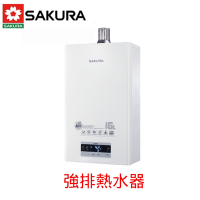 〈原廠安裝〉櫻花牌 DH1693F(天然/FE式) 四季溫渦輪增壓強制排氣熱水器16L