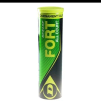 Dunlop Fort isi 4