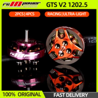2/4PCS RCINPOWER GTS V2 1202.5 Brushless Motor 6000KV/11500KV 1-4S Lipo For RC FPV Racing Drone Quadcopter Micro Whoop Indoor