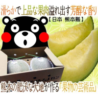 【天天果園】日本熊本縣溫室綠肉哈密瓜原裝2入禮盒(約4kg)