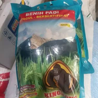 benih padi kingkong inpari 32