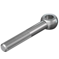 M30 Stainless Steel 304 Lifting Eyelet Bolt or Eye Bolt Sekerup Mata Ikan Skrup Eceran Ukuran M30