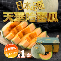 【果樹寶石】天華網紋哈密瓜兩顆禮盒x1盒（4-4.4斤/盒）(香甜多汁 軟糯超順口 限量販售)