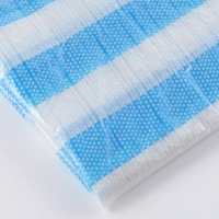 帆布 10X10 尺 藍白條帆布 藍白帆布 防水布 塑膠布 搭棚架 工程防水遮蔽用