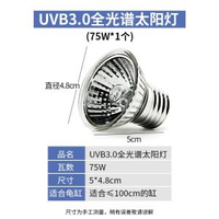 雙頭烏龜蜥蜴蛇曬背燈uva全光譜太陽燈uvb龜缸爬寵補鈣燈保溫燈架