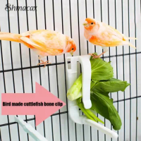 Unique Parrot Bird Cage Fruit Clips Plastic Birds Food Holder Pet Parrot Feeding Fruit Vegetable Clip Bird Cage Accessories