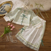 Hanfu Palace Girls' Hanfu Autumn Outfit, Baby Chinese Style Palace Suit, Children's Photo Costume, A