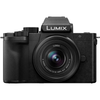 【Panasonic 國際牌】DC-G100DK G100D + 12-32mm 變焦鏡組 --公司貨
