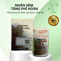 NHÂN SÂM TĂNG PHÌ HOÀN Hỗ trợ ăn ngon, ngủ ngon, tăng cân (HÀNG CHÍNH HÃNG) quatang tet