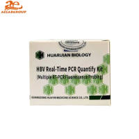 AELAB Factory HBV HCV Real-Time PCR Quantify Kit RT-PCR Fluorescence probing Rt pcr test kit with good price