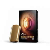 【SK hynix 海力士】Beetle X31 Beetle 1TB USB3.2 Gen2 外接式 SSD 最高讀寫1050MB/s