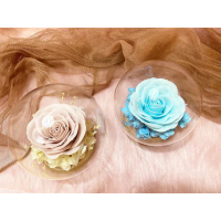 【OSTARA FLORIST 奧斯塔拉花藝】新色上市 甦醒的愛情 白奶茶+海洋藍(永生花、香氛玫瑰花、玻璃球罩)
