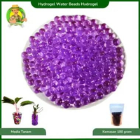 Media Tanaman Pengganti Tanah Hydrogel Untuk Mempercantik Tanaman Hias Ungu