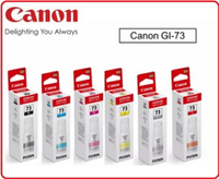 CANON GI-73 原廠 全新盒裝原廠墨水匣 73 GI73 PIXMA G570 G670