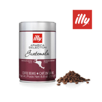 【義大利 illy】瓜地馬拉 Guatemala 單品咖啡豆(250g)