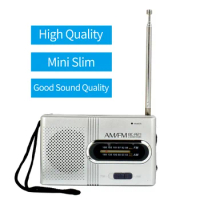 Mini Portable Radio Handheld Dual Band AM FM Music Player Speaker with Telescopic Antenna Outdoor Radio Stereo