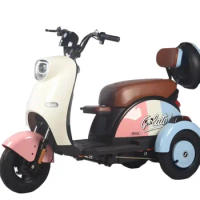 Large-Capacity 48V 600W 800W Electric Tricycle for Adults Elderly-Friendly Alternative Motorcycles Open Body Type