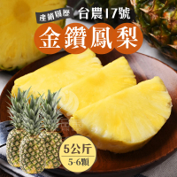 預購 初品果 產地直送金鑽鳳梨5公斤5-6顆x2箱(台農17號_產銷履歷)