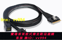 【嚴選特賣】安費諾SlimSAS 8x轉2MiniSAS HD,SFF-8654 8x to 2SFF-8643線纜