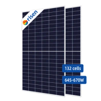 Risen Solar Panel Half Cut Mono Perc Solar Module 600W 700W 800W Solar Panels Manufacturer Pv Panels