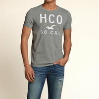 美國百分百【全新真品】Hollister Co. T恤 HCO 短袖 T-shirt  海鷗 灰 文字 刺繡 棉質 Logo 男 S M