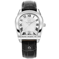 AIGNER SIENA AGW.244001 Men's Watches