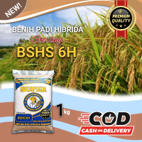 benih padi hibrida sterling bshs 6h 1kg