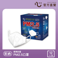 匠心 PM2.5 專業防霾口罩 B級防護(12入/盒)