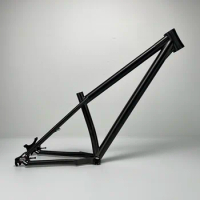 Titanium MTB Frame 27.5 Wheel, internal cable routing, single speed, PVD coated color