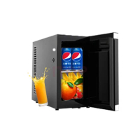 Small Fridge Portable 9.8 Litre Refrigerator Cooler Retro Car Refrigerator Fridge Beauty Mini Freezer