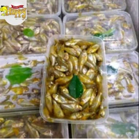 Ikan Wader Baby Fish Bumbu Beku Frozen 500 gram HFF Cirendeu