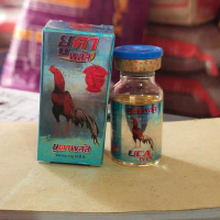 BARU UCA PLUS OBAT AYAM TARUNG SAKIT KAKI SETELAH ADU PILEK NGOROK SALMONEL