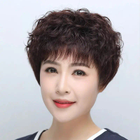 วิกผม Xuchang สำหรับผู้หญิงวัยกลางคนและผู้สูงอายุ ผมสั้นหยิก วิกผมทำด้วยเครื่อง ขายส่ง วิกผมแม่ธรรมช