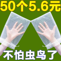 【新店促銷】水果套袋防鳥專用網袋葡萄無花果瓜果番石榴草莓楊桃保護袋子